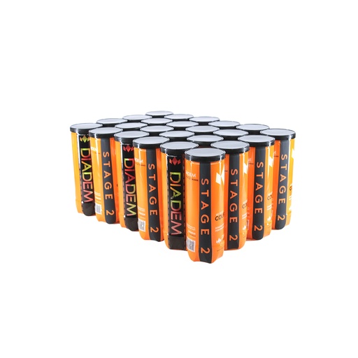 [BALL-CASE-ORANGE] Diadem Pelotas Punto Naranja presurizada (caja)